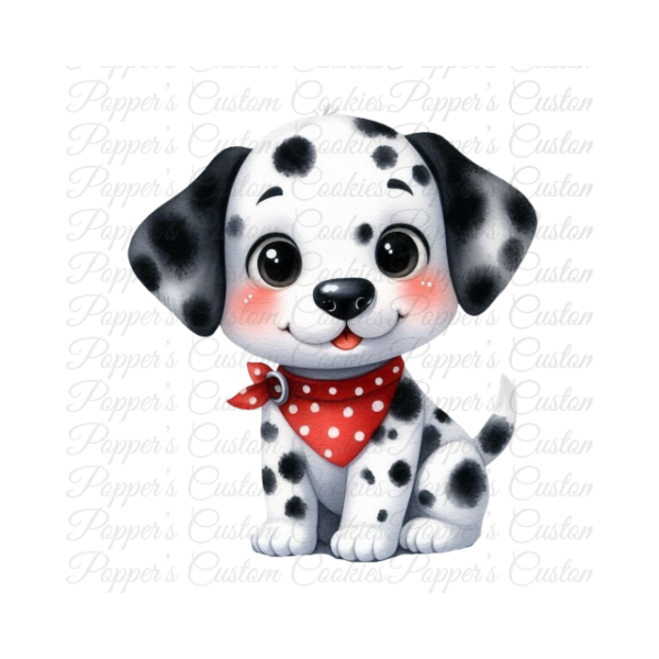 Baby Dalmatian, Boy