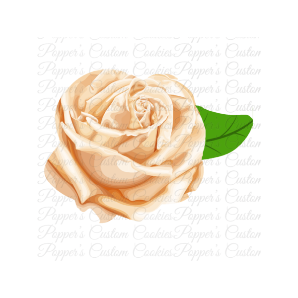 Floral, AC, Rose, One Leaf, Beige