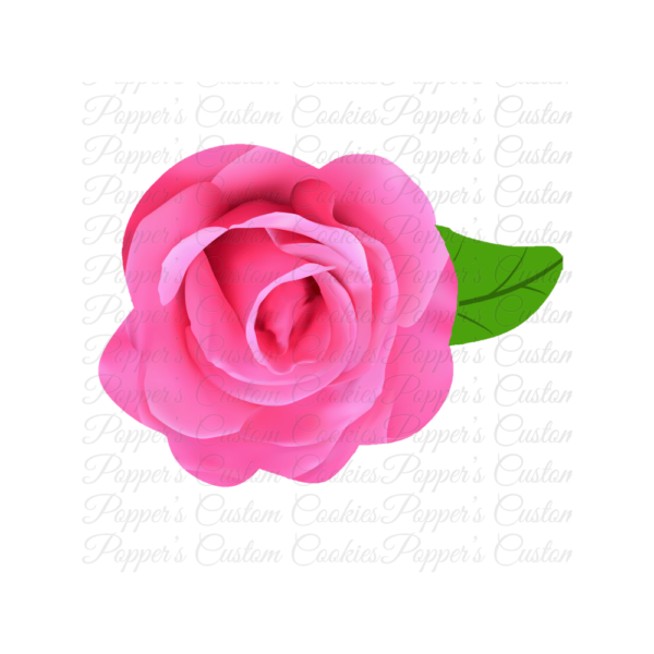 Floral, AC, Rose, One Leaf, Bright Pink