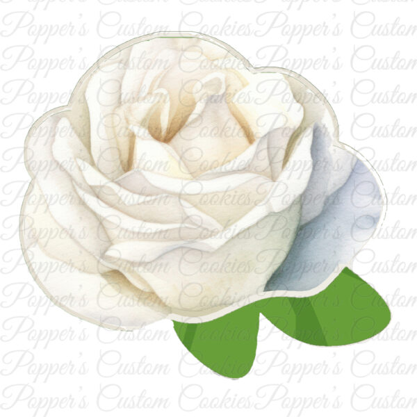 Floral, LL, Rose, White Shaded Rose