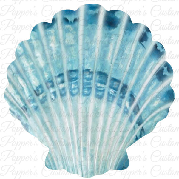 Seashell, AC, Shiny Turquoise