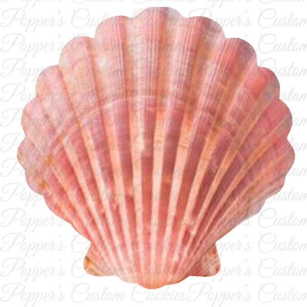 Seashell, AC, Coral