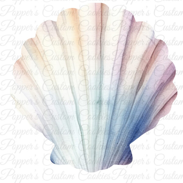 Seashell, AC, Multi-Color