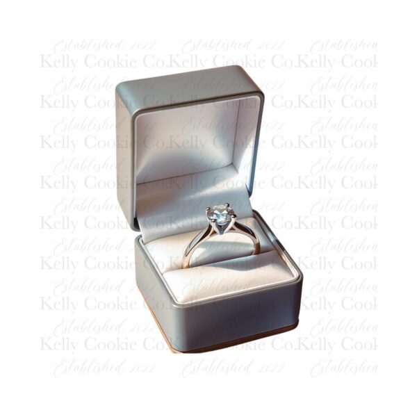 RIng Box Bundle - Image 3