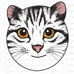 Cat, Black & White