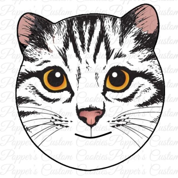 Cat, Black & White