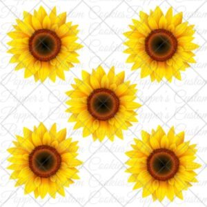 XL Sunflower Transfers
