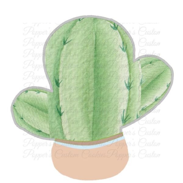Cactus, Terracotta Pot