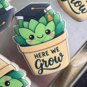 Graduation Succulent Bundle